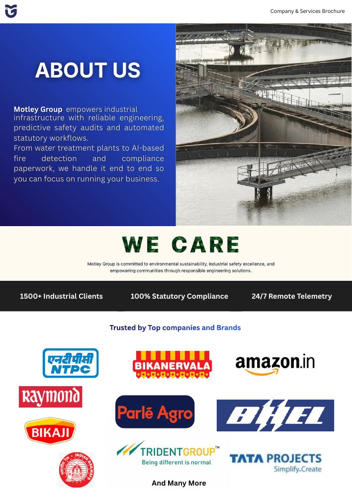 About Motley Group, company overview, clients, and key figures
